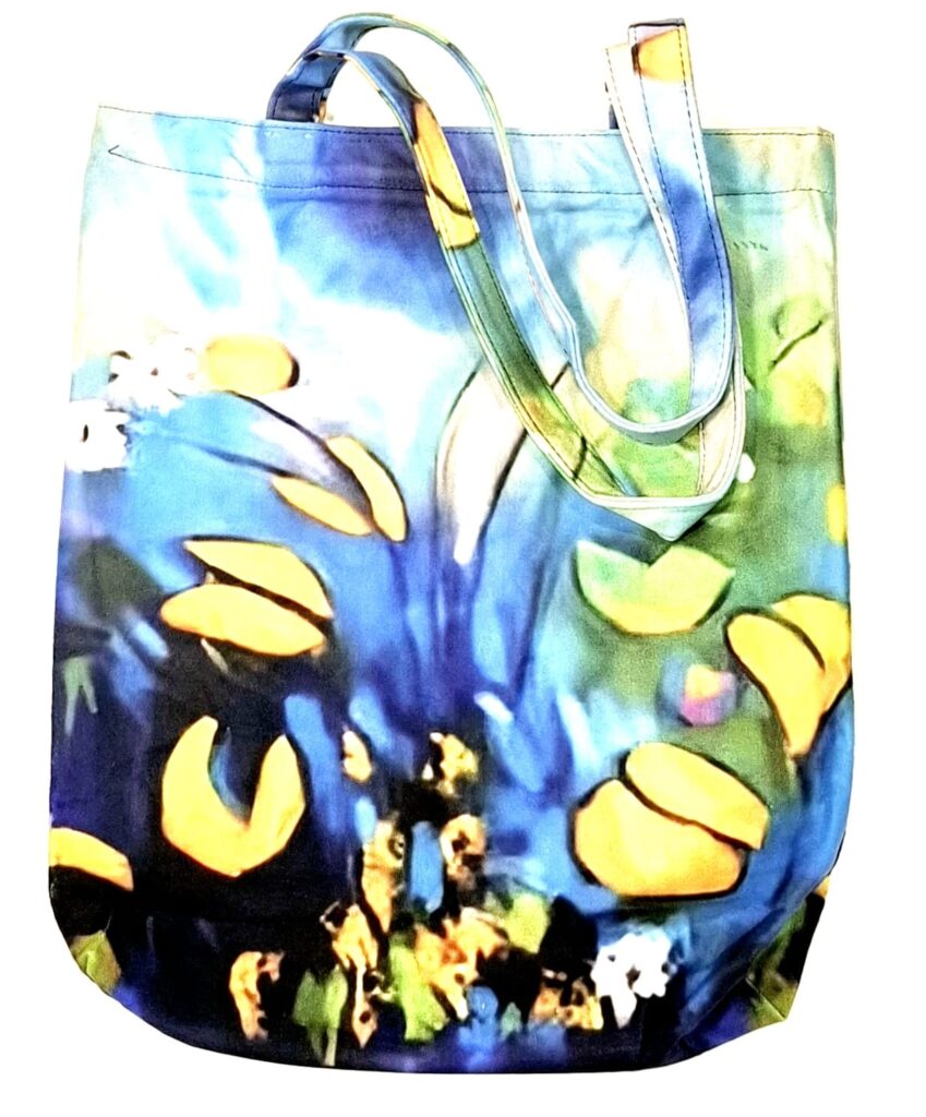 Bolsa (3420000014)